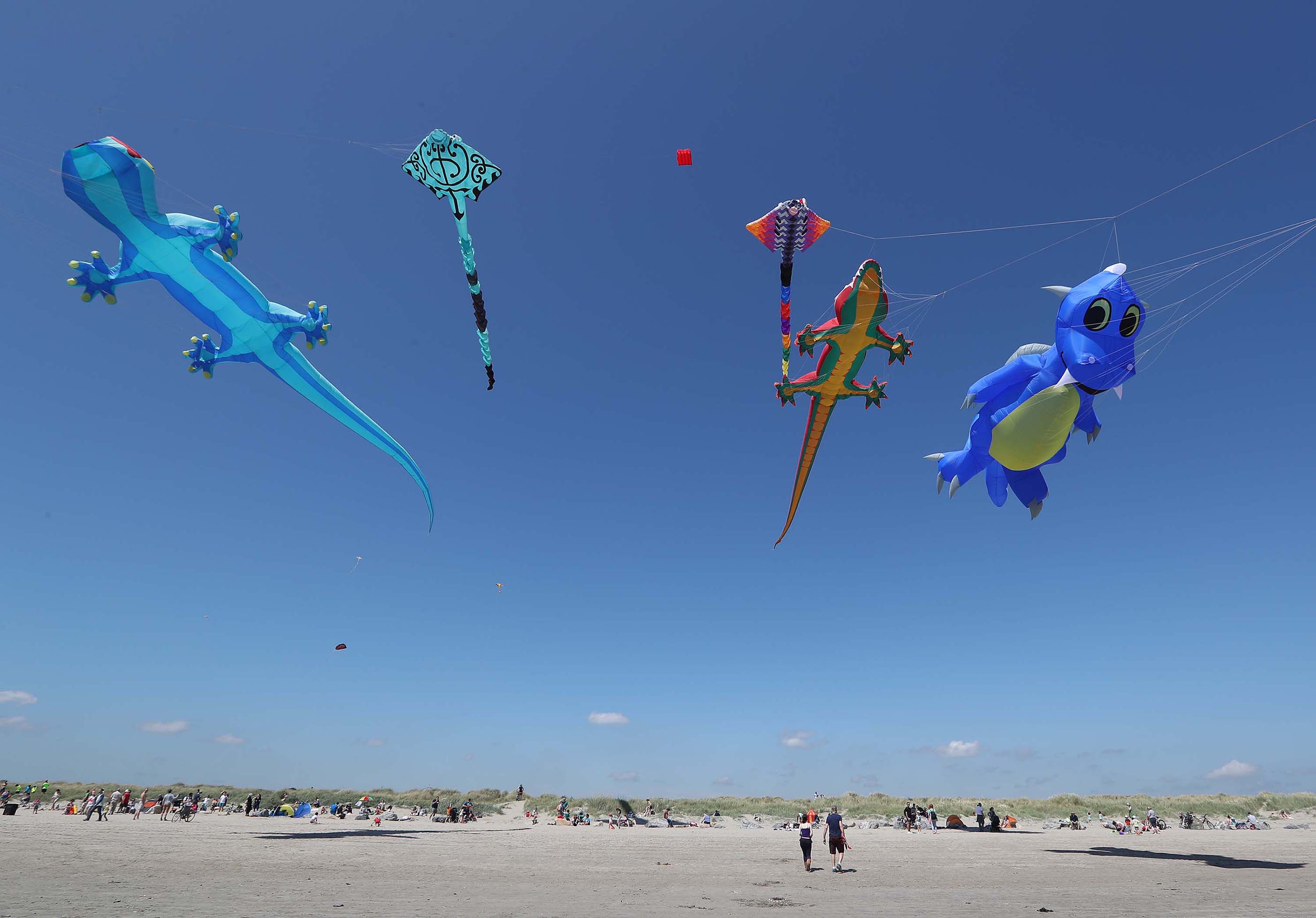 Photo of people flying kites on a beach